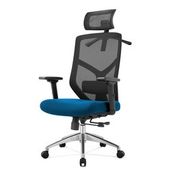 Fotel biurowy ergonomiczny Roseville