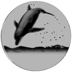 Magic Disc - CineSpinner Dolphin 11'