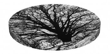 SKP BERTONI KISSEN AUF HOCKERN SERENITY HD