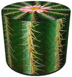 SKP Pufa Dekoracyjna CACTUS HD