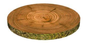 SKP BERTONI PILLOW ON THE CHAIR MOSSY HD