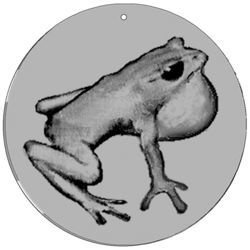 Magic Disc - CineSpinner Frog 5,5'