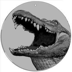 Magic Disc - CineSpinner Alligator5,5'