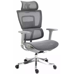 SIG Fotel ergonomiczny Winner Lux chom. szary