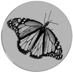 Magic Disc - CineSpinner Butterfly 5,5'
